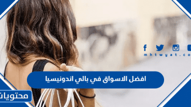 افضل الاسواق في بالي اندونيسيا