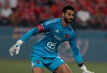 محمد الشناوي