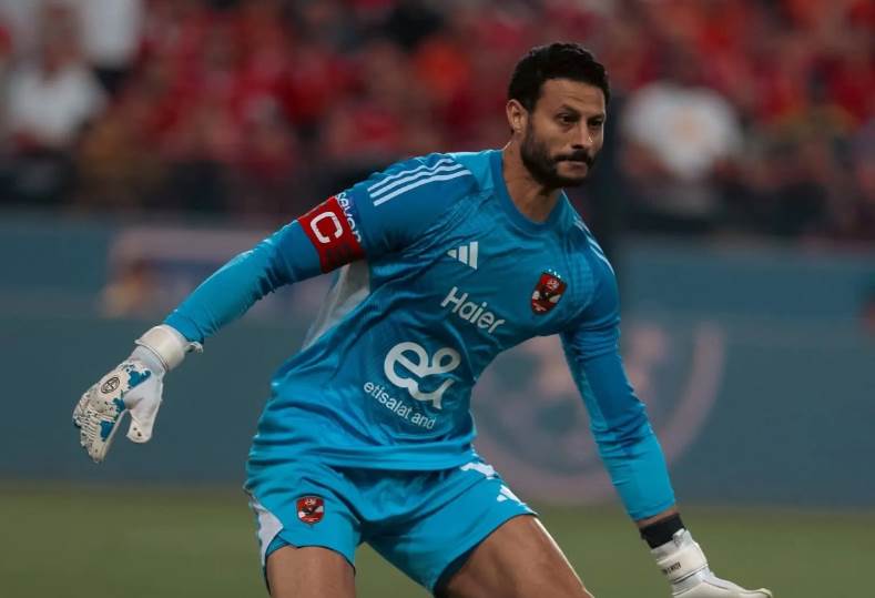 محمد الشناوي