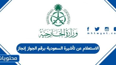 الاستعلام عن تأشيرة السعودية برقم الجواز إنجاز