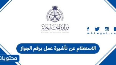 الاستعلام عن تأشيرة عمل برقم الجواز