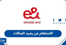 الاستعلام عن رصيد اتصالات