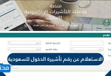 الاستعلام عن رقم تأشيرة الدخول السعودية