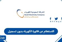 الاستعلام عن فاتورة الكهرباء بدون تسجيل