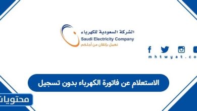 الاستعلام عن فاتورة الكهرباء بدون تسجيل