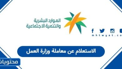 الاستعلام عن معاملة وزارة العمل