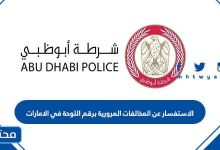 الاستفسار عن المخالفات المرورية برقم اللوحة في الامارات