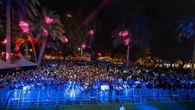 الايام الثقافية .. مزجت بين ألوان الفنون الشعبية وعكست إبداع الحضارة اليمنية