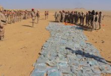 الجوف.. القوات الأمنية تحبط تهريب طن حشيش كان في طريقه للحوثيين