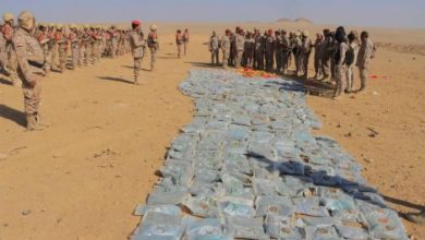 الجوف.. القوات الأمنية تحبط تهريب طن حشيش كان في طريقه للحوثيين