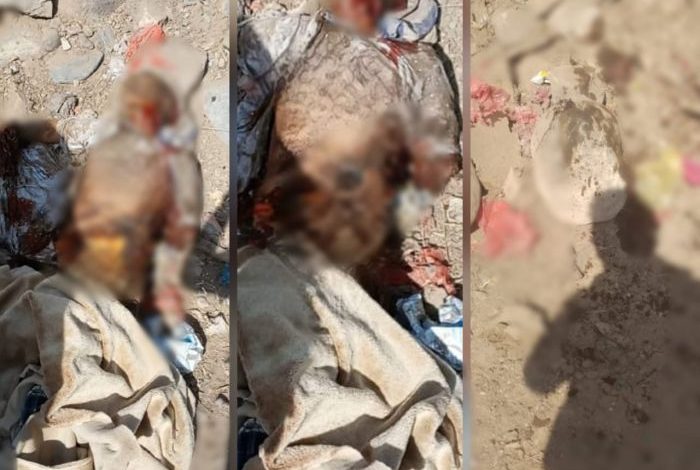 الحديدة.. مكتب حقوق الإنسان يدين مقتل المواطنة زينب جناح بقصف حوثي على منزلها في حيس