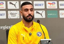 أحمد الشناوي