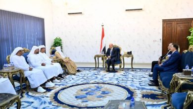 العليمي يشيد بالدعم الإماراتي لليمن ويثمّن توجيهات الشيخ محمد بن زايد بتمويل مشاريع الكهرباء بمليار دولار