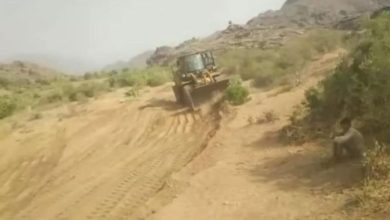 القديمي: مليشيا الحوثي تواصل نهب أراضي أبناء تهامة بقوة السلاح في باجل