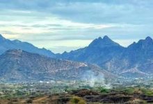 الوازعية.. أبناء قبيلة العلقمة يطالبون بسرعة تسليم المتورطين في جريمة التقطع لفريق منظمة "إدرا"