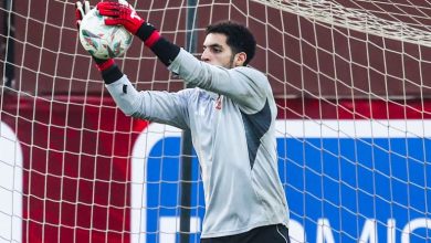 مصطفى شوبير