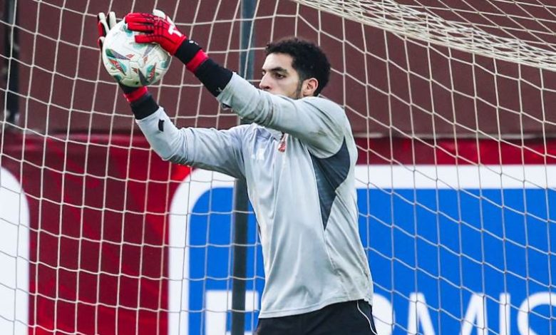 مصطفى شوبير