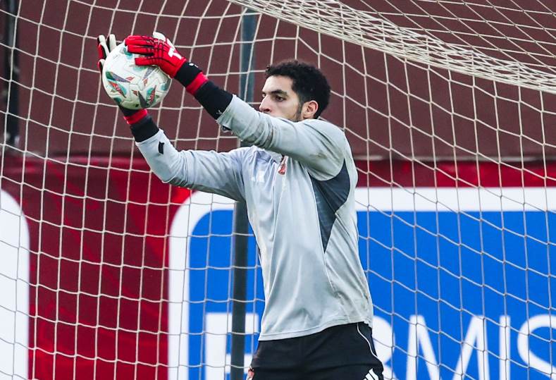 مصطفى شوبير