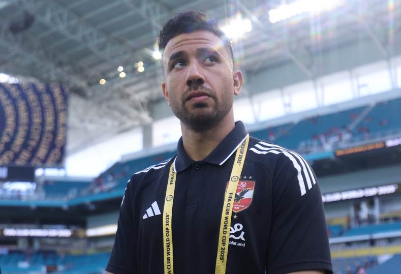 محمود حسن تريزيجيه