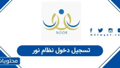 تسجيل دخول نظام نور