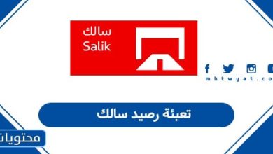 تعبئة رصيد سالك