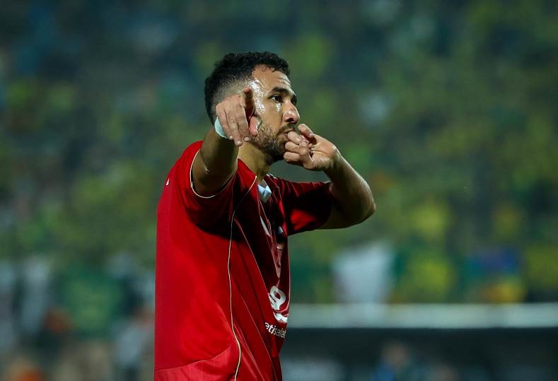 محمود تريزيجيه