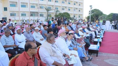 حضرموت تحتضن احتفالية اليوم العالمي الصقور