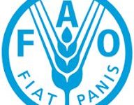 خطة أممية لدعم الزراعة في اليمن تستهدف 9.38 مليون شخص حتى 2027