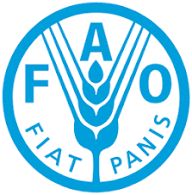 خطة أممية لدعم الزراعة في اليمن تستهدف 9.38 مليون شخص حتى 2027