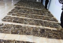 خلال 9 أشهر.. ضبط أكثر من طن ونصف من المخدرات و800 متهم في مختلف المحافظات