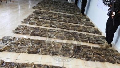 خلال 9 أشهر.. ضبط أكثر من طن ونصف من المخدرات و800 متهم في مختلف المحافظات