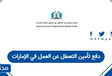 دفع تأمين التعطل عن العمل في الإمارات