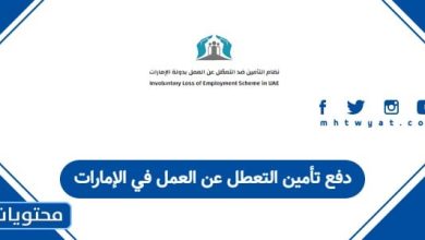 دفع تأمين التعطل عن العمل في الإمارات