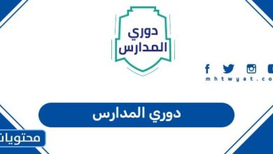 دوري المدارس