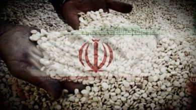 ذا ناشيونال: الجوف تحولت إلى ممر رئيسي لتهريب المخدرات عبر الحدود