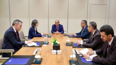 رئيس الوزراء يؤكد الحرص على توسيع آفاق التعاون مع فرنسا