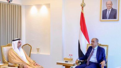 رئيس الوزراء يستقبل السفير الإماراتي ويجدد الشكر لدولة الامارات على دعمها قطاع الكهرباء في اليمن بمليار دولار