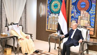 رئيس مجلس القيادة يبحث مع السفير الإماراتي دعم الإصلاحات الاقتصادية وتعزيز العلاقات بين البلدين