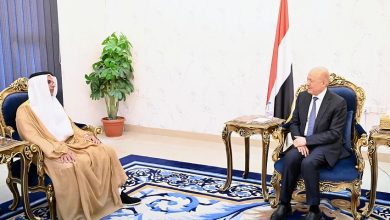 رئيس مجلس القيادة يشيد بالدعم الاماراتي لقطاع الكهرباء في اليمن