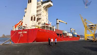 رسو الباخرة "مرسى فيجروا" في رصيف محطة المعلا للحاويات بعدن