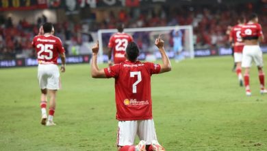 محمود حسن تريزيجيه