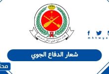 شعار الدفاع الجوي