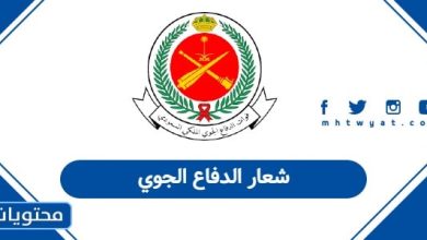 شعار الدفاع الجوي