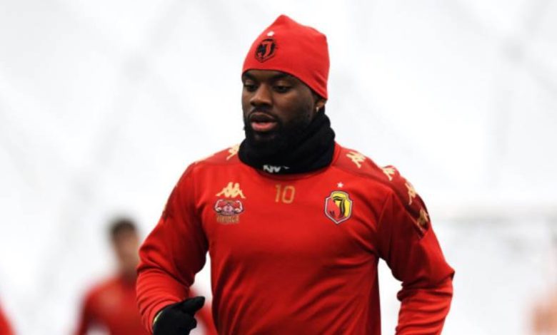 أفيميكو بولولو