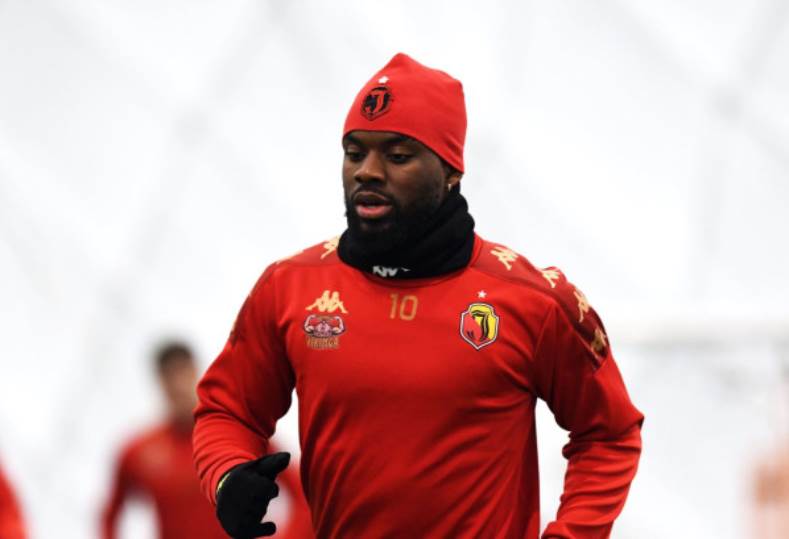 أفيميكو بولولو