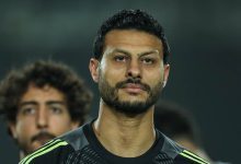 محمد الشناوي