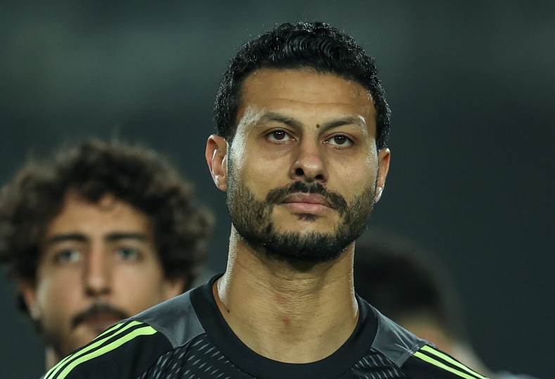 محمد الشناوي