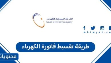 طريقة تقسيط فاتورة الكهرباء