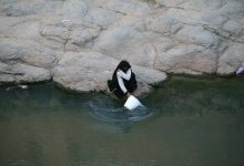 عجز اليمن المائي يصل 2.6 مليار متر مكعب