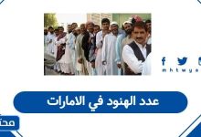 عدد الهنود في الامارات